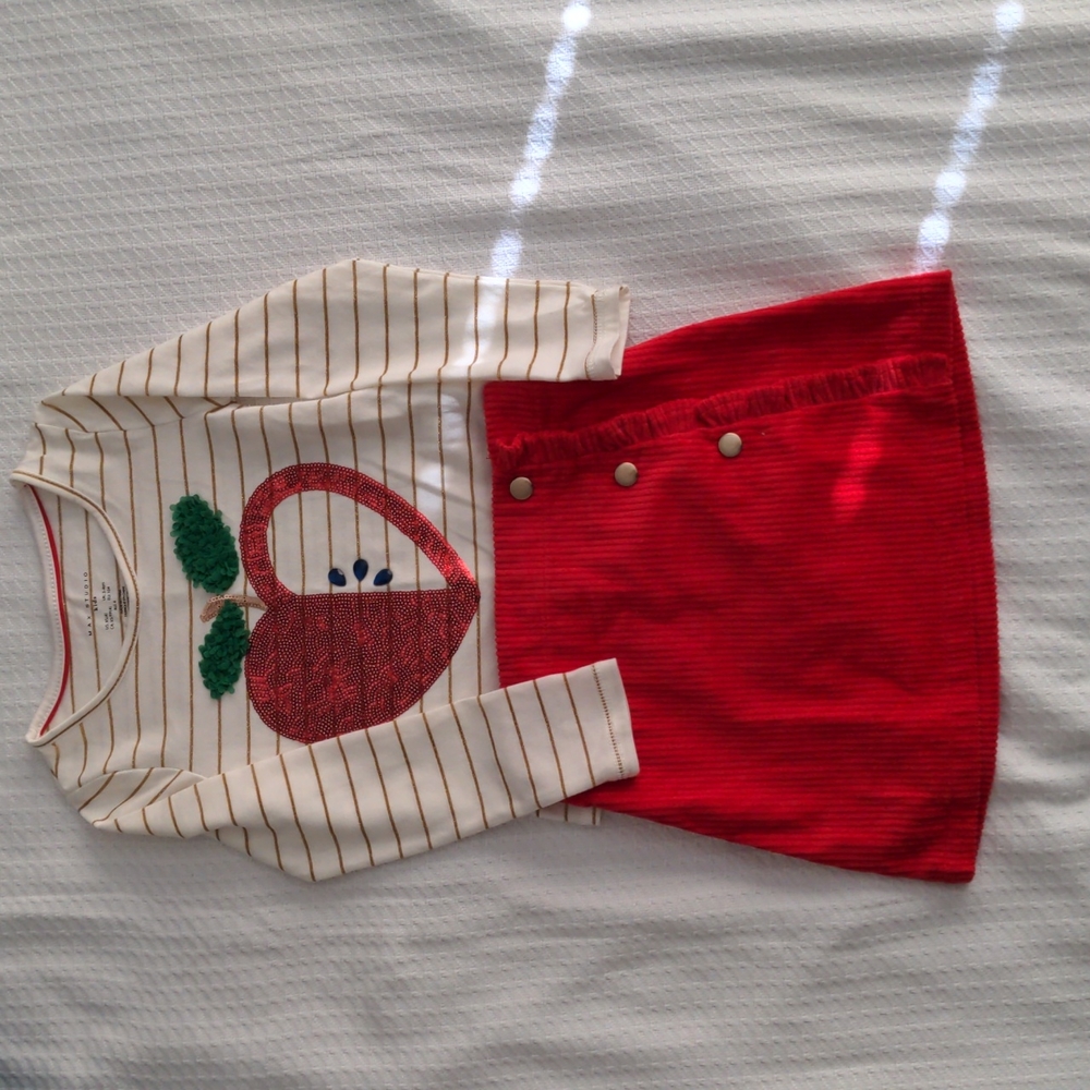 Max Studio Kids size XS (4) girls skirt and shirt